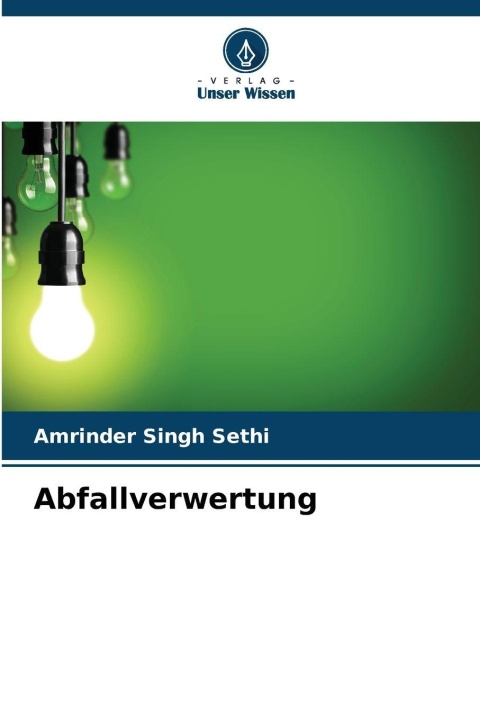 Kniha Abfallverwertung Amrinder Singh Sethi