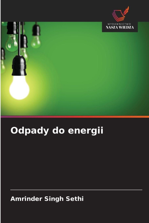Kniha Odpady do energii Amrinder Singh Sethi