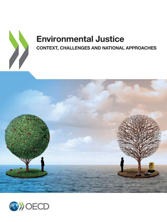 Kniha Environmental Justice OECD
