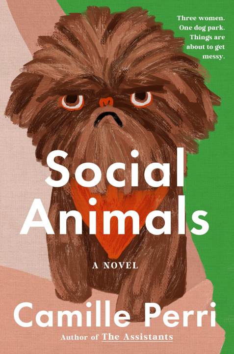 Boek Social Animals Camille Perri