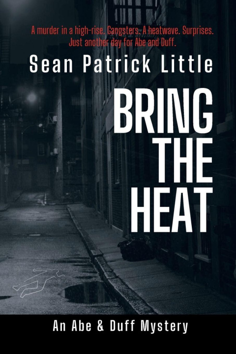Kniha Bring the Heat Sean Little