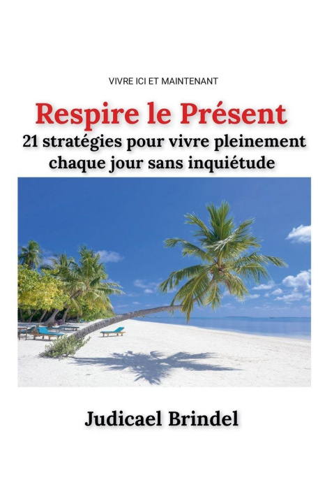 Kniha Respire le Présent Judicael Brindel