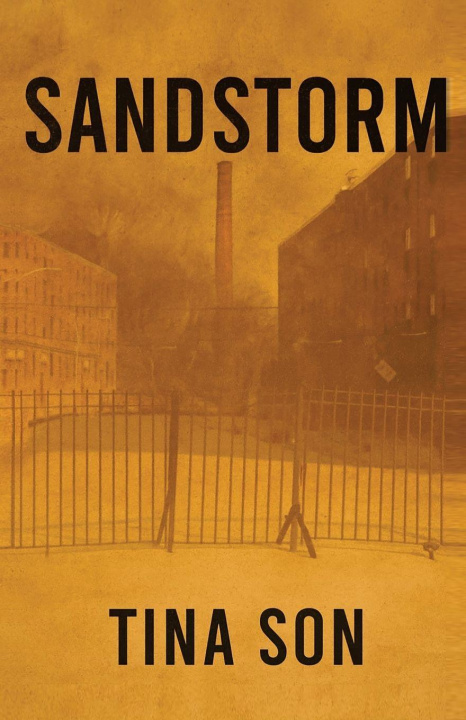 Kniha SANDSTORM TINA SON