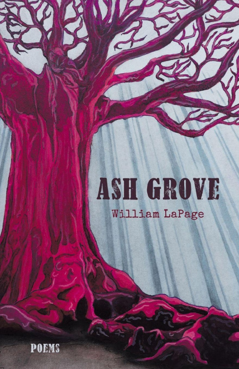 Boek Ash Grove 