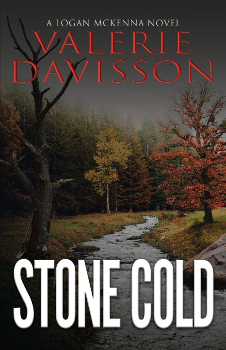 Kniha Stone Cold Valerie Davisson