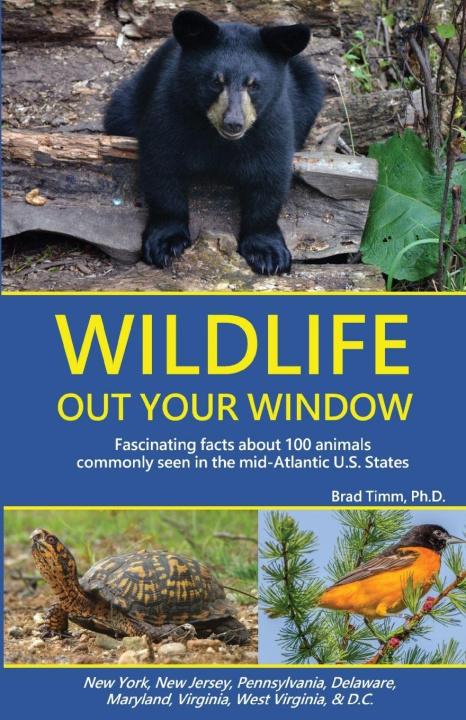 Kniha Wildlife Out Your Window Brad Timm