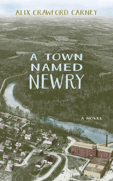 Kniha A Town Named Newry Alix Carney