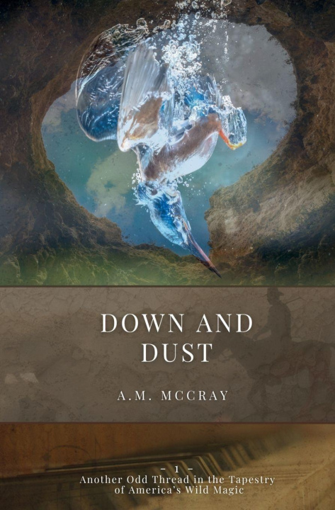 Kniha Down and Dust A. M. McCray