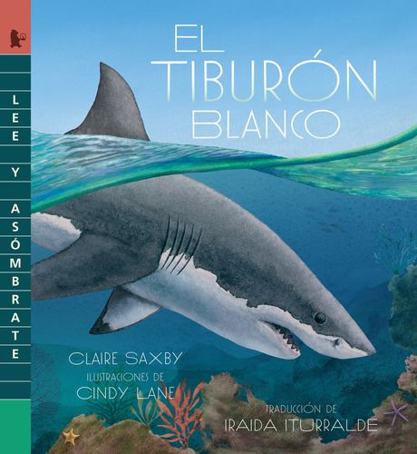 Kniha TIBURON BLANCO SAXBY CLAIRE