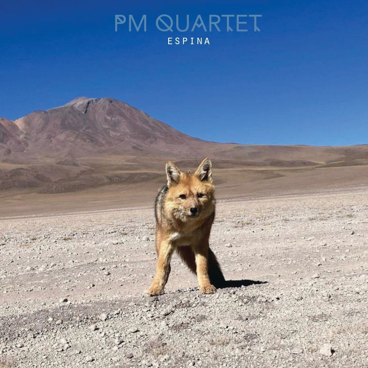Audio ESPINA MARTINET QUARTET