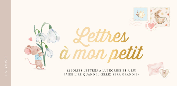 Βιβλίο Lettres à mon petit 