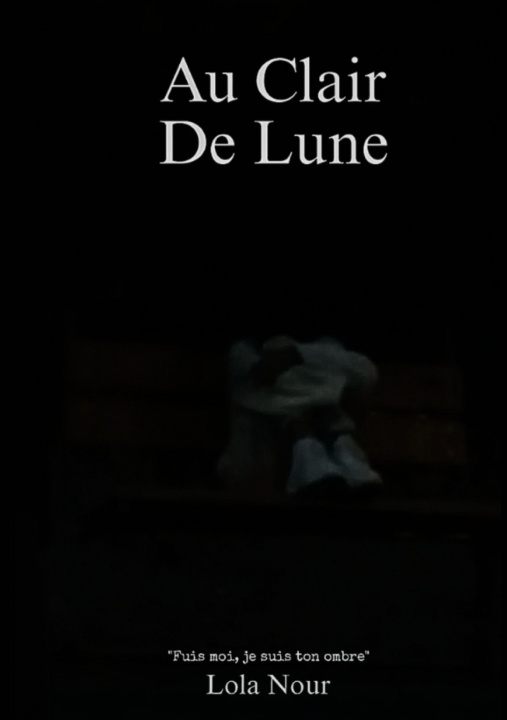 Kniha AU CLAIR DE LUNE NOUR LOLA