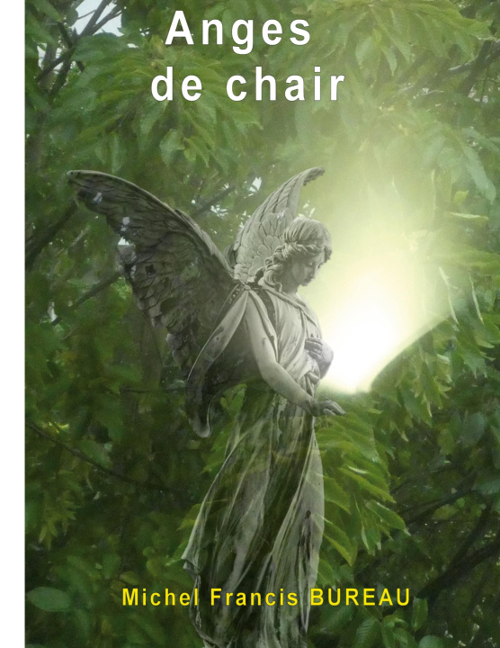 Boek ANGES DE CHAIR BUREAU MICHEL FRANCIS