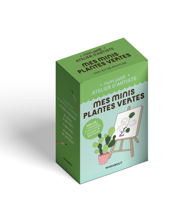 Kniha Mes minis plantes vertes 