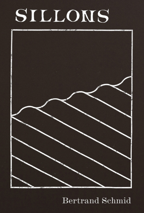 Libro SILLONS Bertrand SCHMID