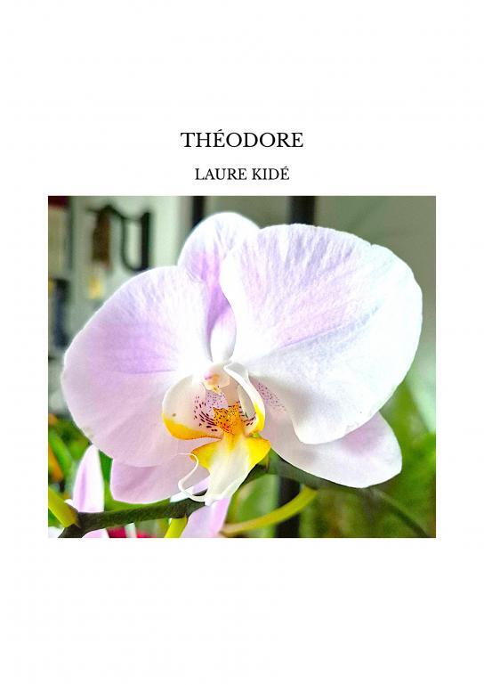Kniha THÉODORE KIDÉ