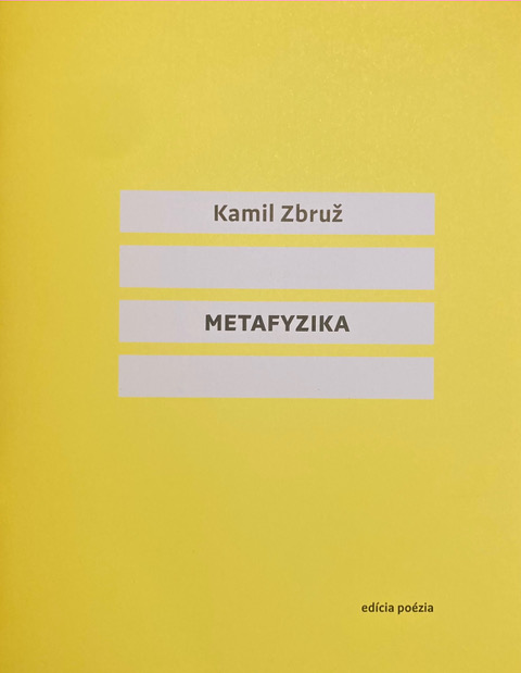 Buch Metafyzika Kamil Zbruž