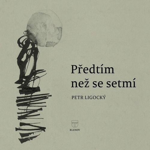 Boek Předtím než se setmí Petr Ligocký