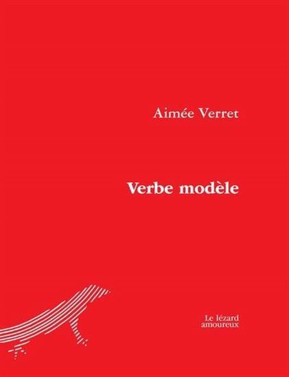 Kniha VERBE MODELE VERRET AIMEE