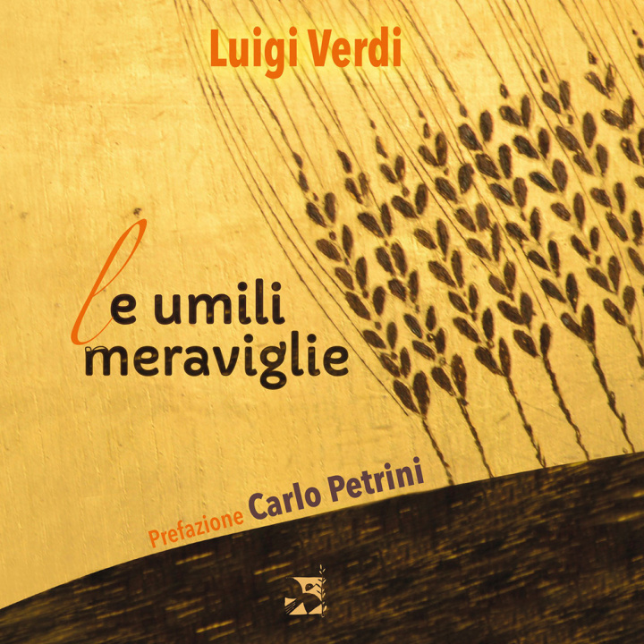 Book umili meraviglie Luigi Verdi
