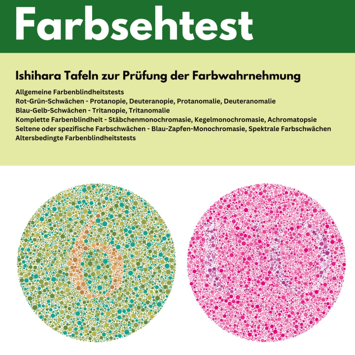 Buch Farbsehtest Satoshi Ishida