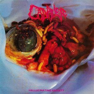 Audio Hallucinating Anxiety Cadaver