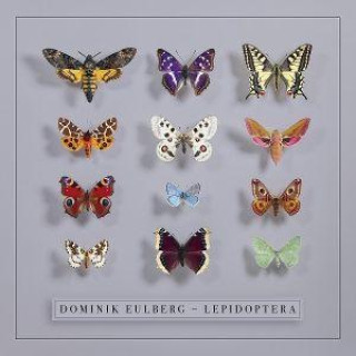 Audio Lepidoptera Dominik Eulberg