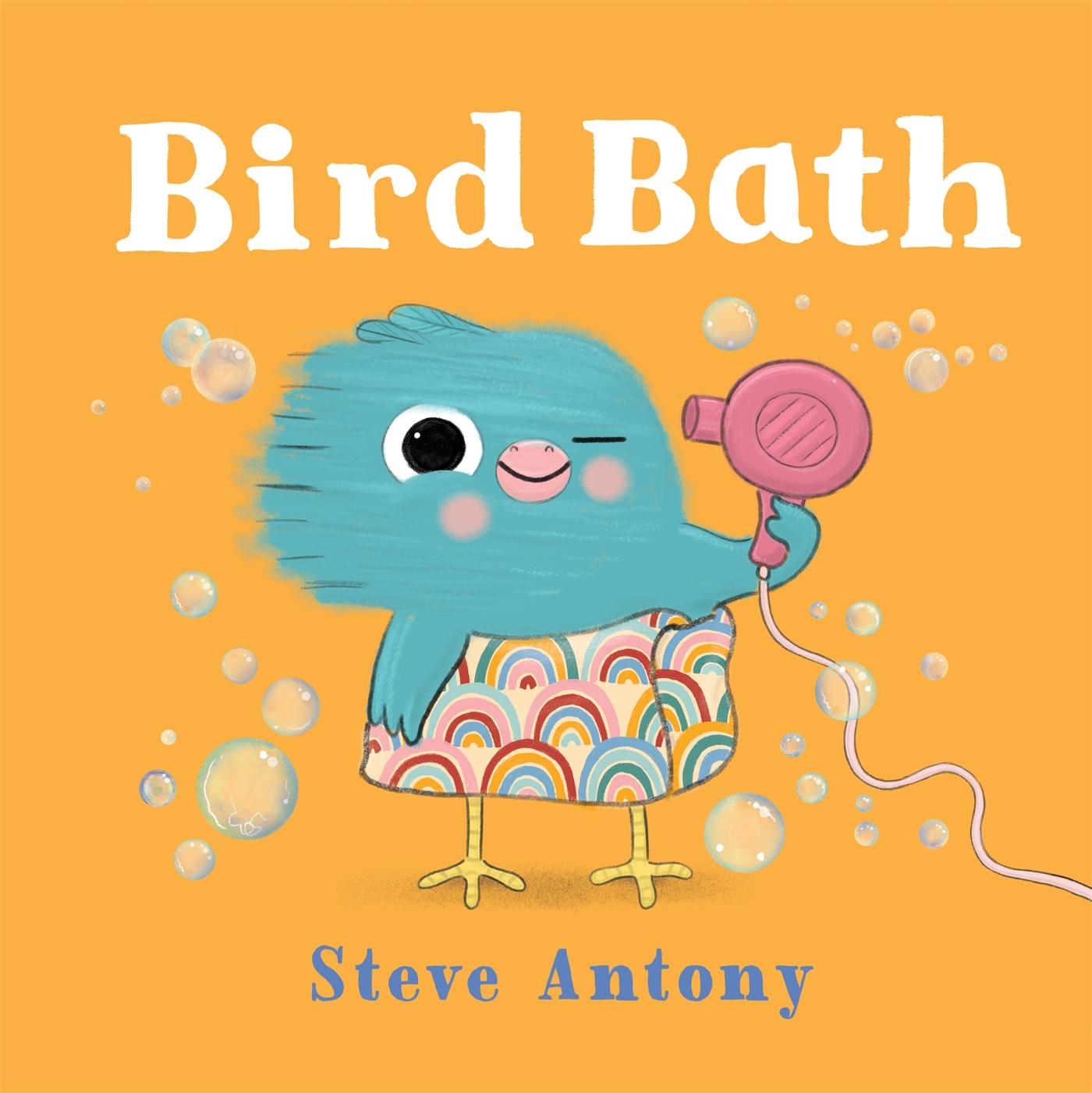 Buch Bird Bath Steve Antony