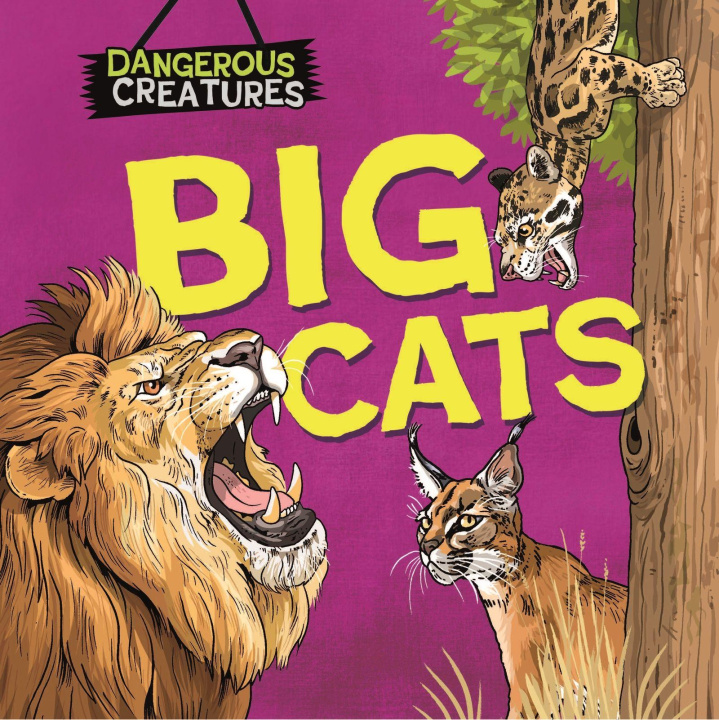 Buch Dangerous Creatures: Big Cats Lynn Huggins-Cooper