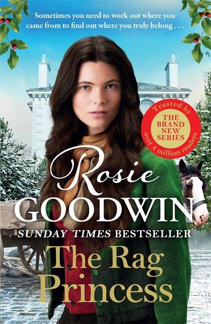 Kniha Rag Princess Rosie Goodwin