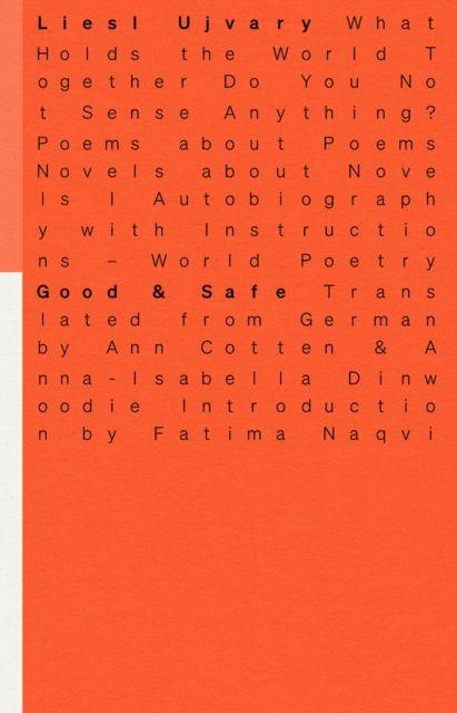 Kniha Good & Safe Liesl Ujvary