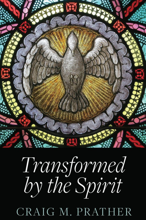 Knjiga Transformed by the Spirit Craig M Prather