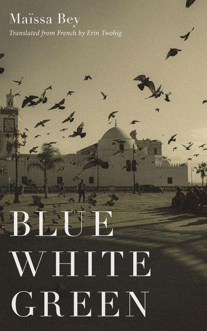 Kniha Blue White Green Erin Twohig
