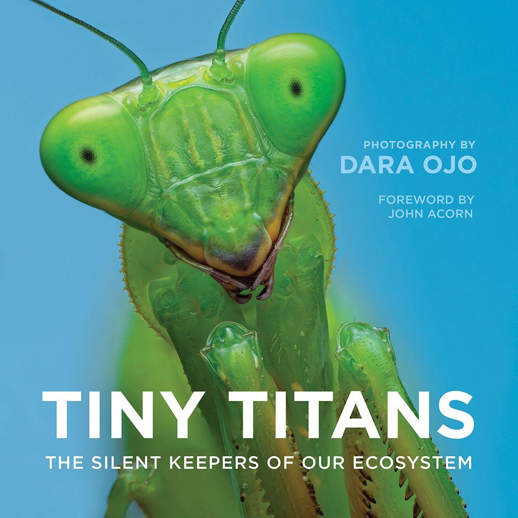 Knjiga Tiny Titans 