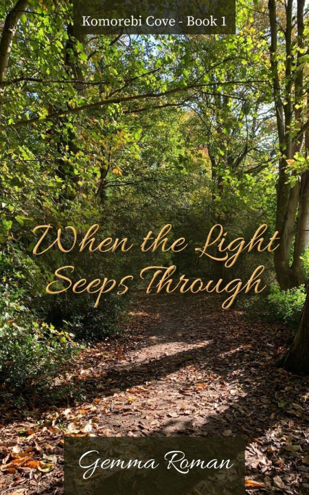 Kniha When the Light Seeps Through Gemma Roman