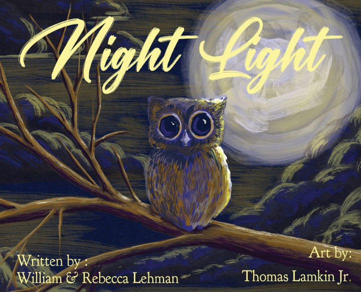 Kniha Night Light Rebecca William