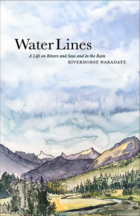 Knjiga Water Lines Sarah Lamar Stephens