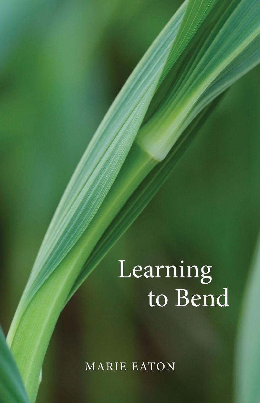 Buch Learning to Bend Marie Eaton
