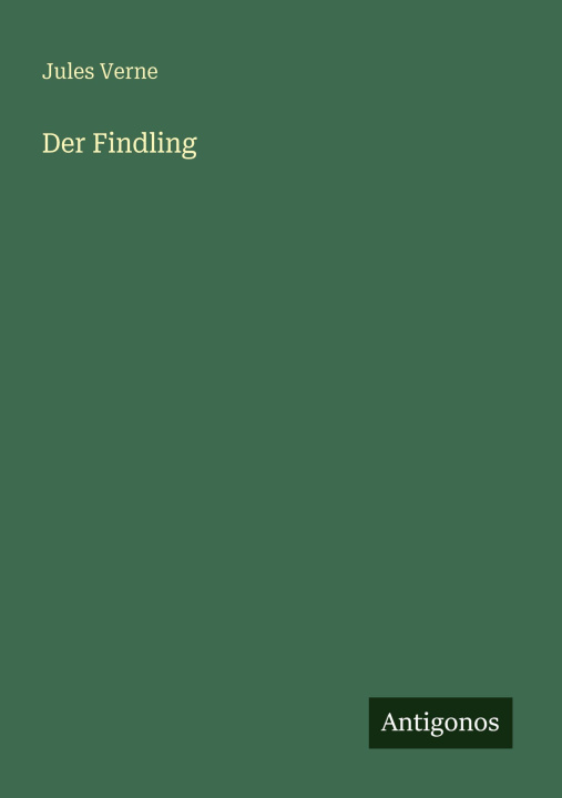 Kniha Der Findling Jules Verne
