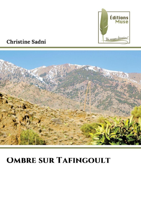 Kniha Ombre sur Tafingoult Christine Sadni