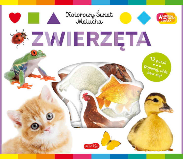 Buch Zwierzęta. Akademia mądrego dziecka. Kolorowy świat malucha opracowanie zbiorowe