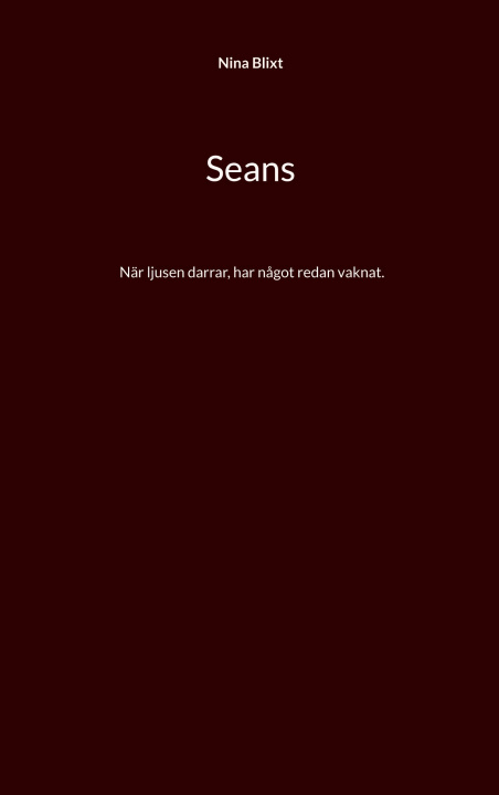 Kniha Seans Nina Blixt