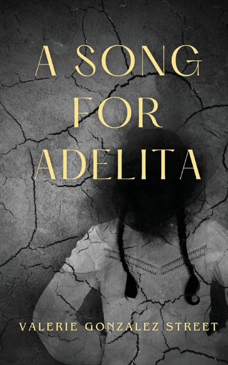 Kniha A Song for Adelita Valerie Gonzalez Street