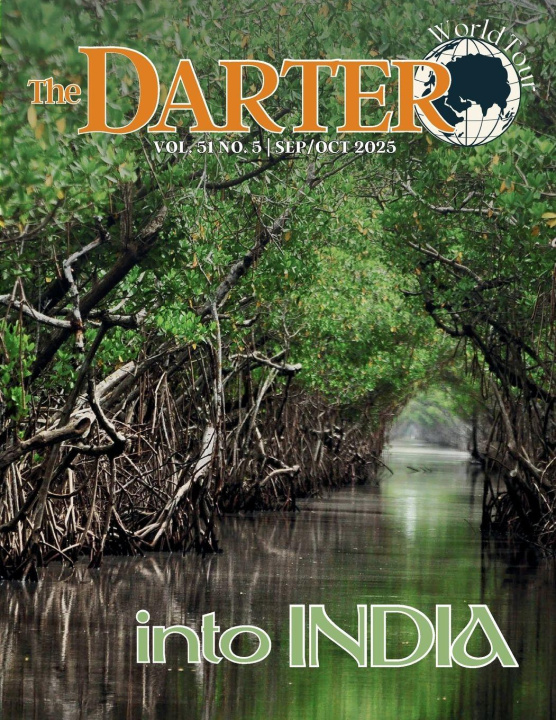 Kniha The Darter Micah Issitt