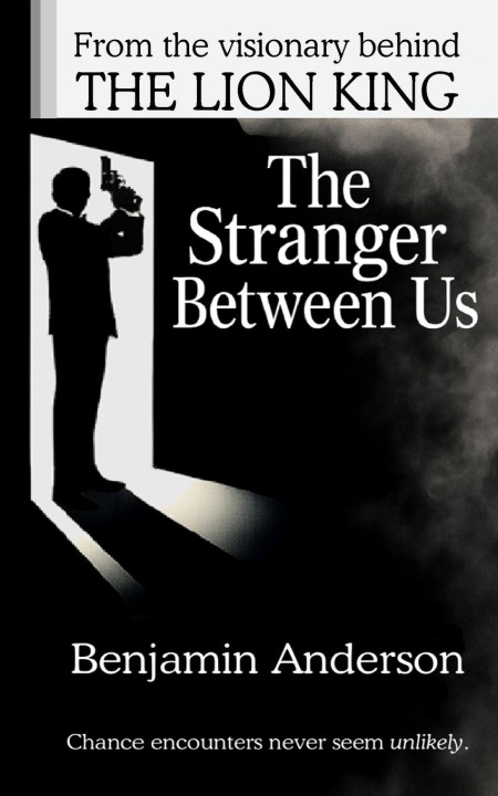 Kniha The Stranger Between Us Anderson
