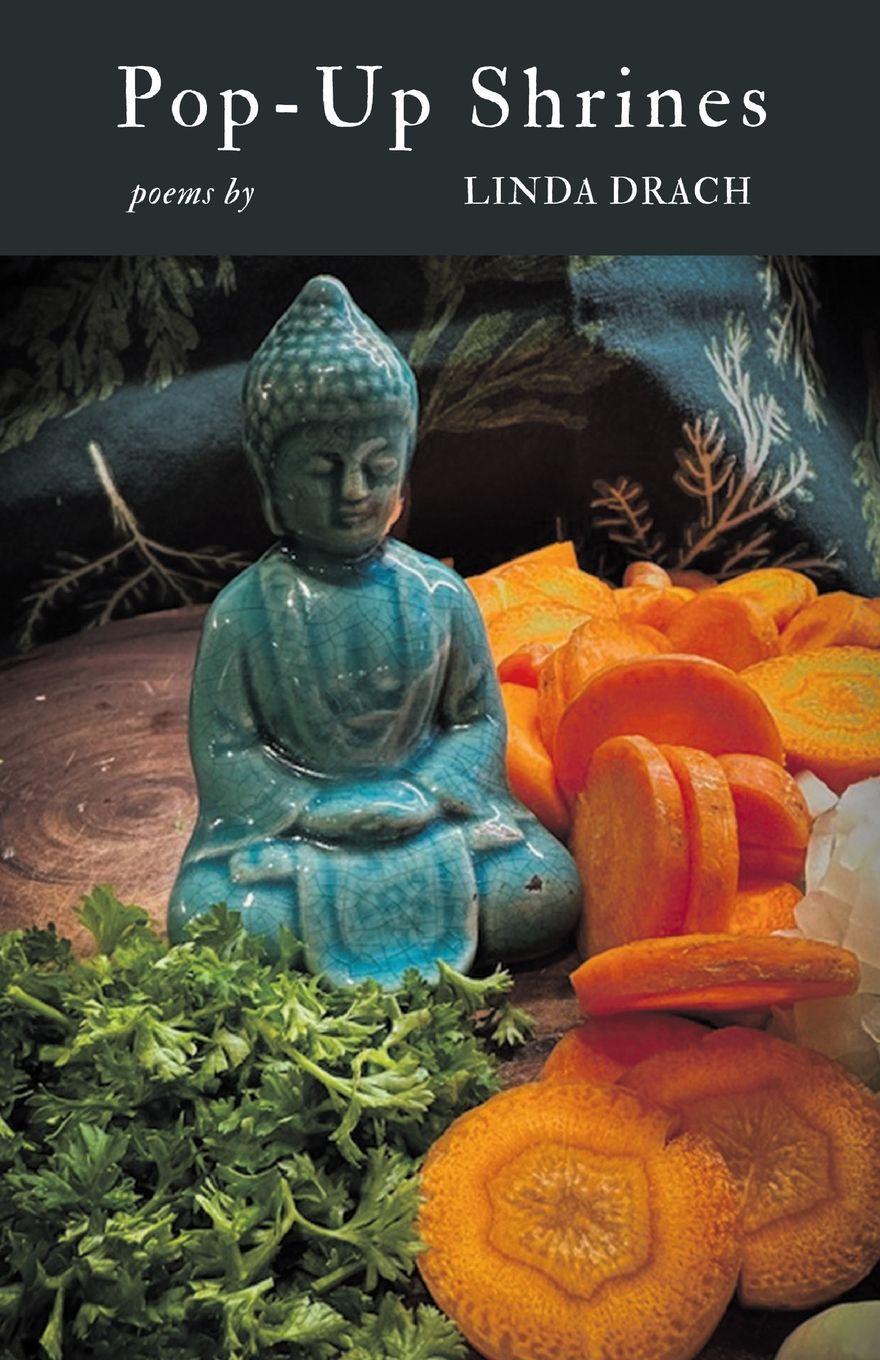 Kniha Pop-Up Shrines Linda Drach