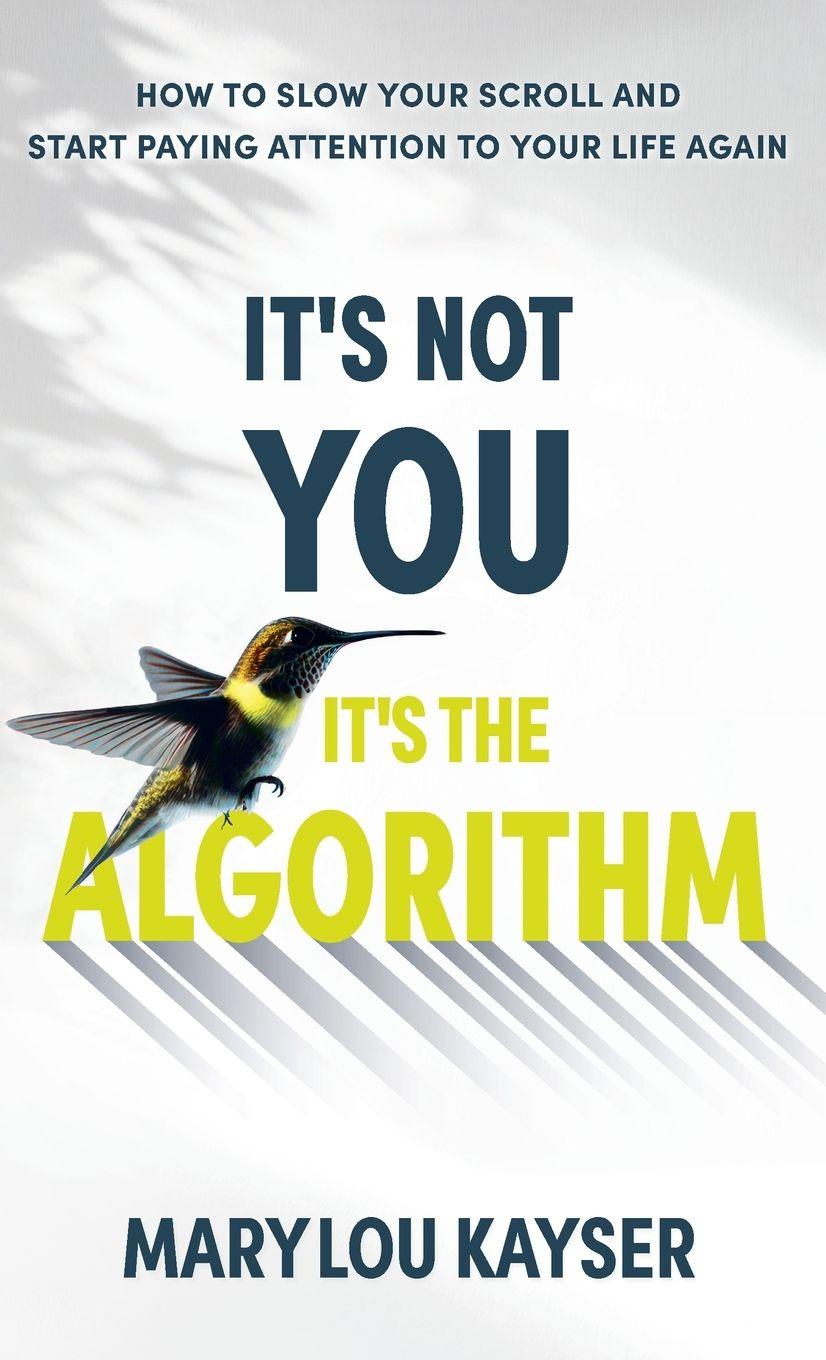 Kniha It's Not You, It's the Algorithm MaryLou Kayser