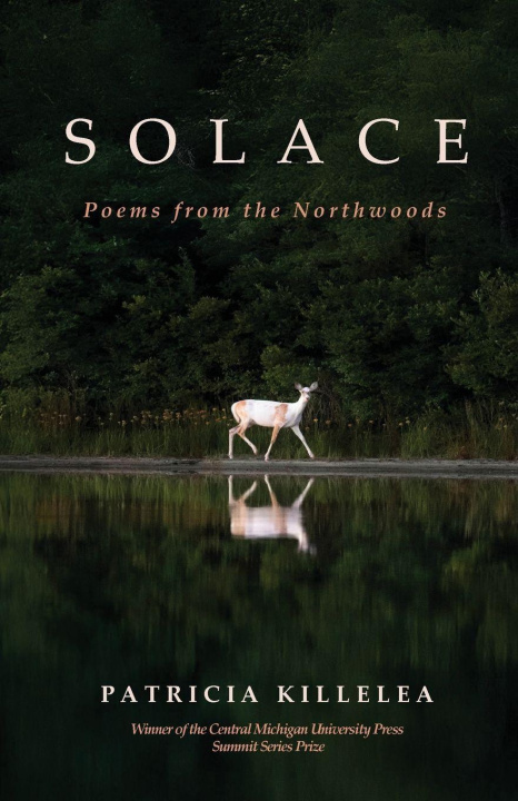 Kniha Solace Patricia Killelea