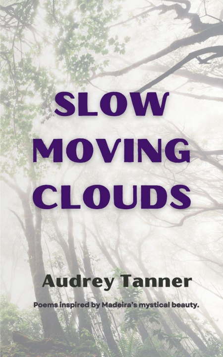 Kniha Slow Moving Clouds Audrey Tanner