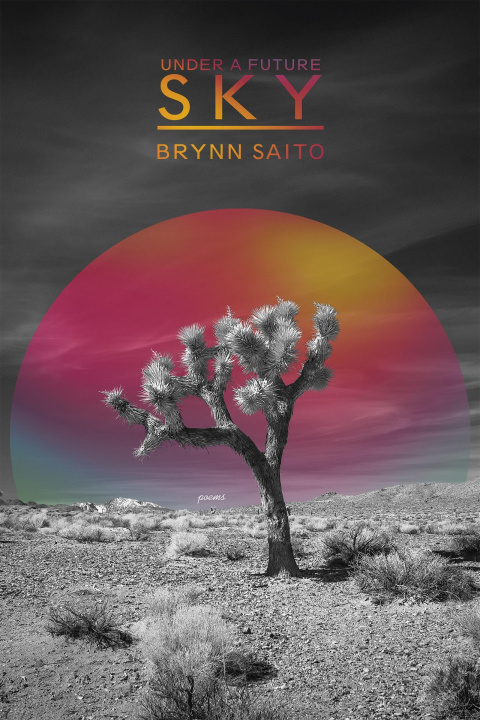Kniha UNDER A FUTURE SKY SAITO BRYNN
